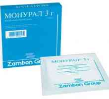 Лекарствен продукт "Monural". Преглед, описание, цена