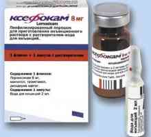Лекарства "Ксефокам" (nyxes): инструкции за употреба, индикации, противопоказания