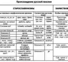 Речник от гледна точка на произхода. Лексикална система на съвременния руски език. Нови думи