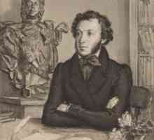 Лицевите години на Пушкин: обобщение на спомените и анализа