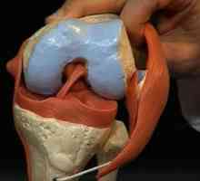 Лиганоза на коляното: каква е причината за появата и лечението