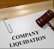 Ликвидация на LLC чрез продажба: стъпка по стъпка инструкция