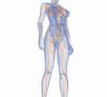 Лимфен възел на крака: местоположение, причини за увеличаване и лечение