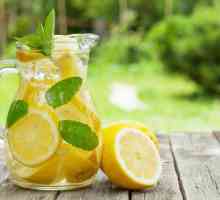 Лимонада у дома: рецепта с снимка