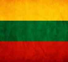 Литовското посолство в Москва: адрес, уебсайт, получаване на виза