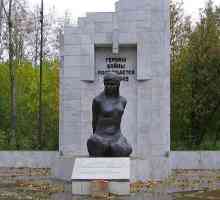 Лиза Чайкин. Великата отечествена война. Герой на Съветския съюз