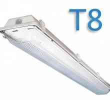 Флуоресцентна лампа T8 и LED лампи T8: характеристики, размери, връзка. Лампи за аквариум T8