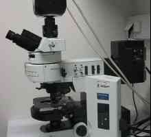 Флуоресцентна микроскопия: характеристики на изследването
