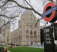 Лондон, Музей на естествената история - историята на живота на Земята