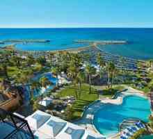 Lordos Beach Hotel 4 * (Ларнака, Кипър): описание и ревюта