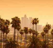 Лос Анджелис: населението. Брой, расов и етнически състав, имигранти