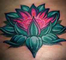 Lotus (татуировка): значението на символа и историята