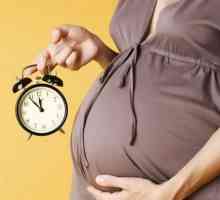 Фалшиви контракции по време на бременност: симптоми, как да се прави разлика между реални и какво…