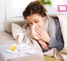 Най-доброто предотвратяване на грип и настинки е масло "Breathe". Инструкции и съвети за…