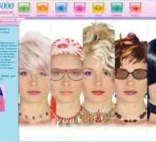 Най-добрата програма за избор на цвят на косата - преглед, спецификации и отзиви