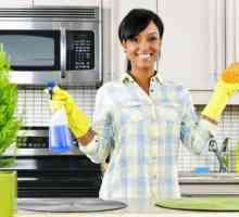 Най-добрите продукти за почистване на кухнята: преглед, приложение, производители и рецензии