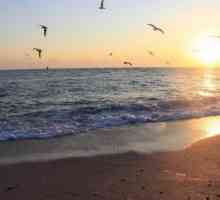 Най-добрите нудистки плажове на Черно море: рецензии