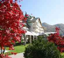 Най-добрите хотели в Сочи: снимки и отзиви от туристи