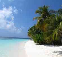 Най-добрите плажове на Малдивите: описание и отзиви