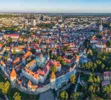 Най-добрите търговски центрове в Талин: снимки и отзиви