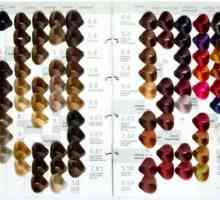 Най-добрите традиции за грижа за косата: палитрата от цветове "Kapus"