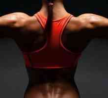 Най-добрите упражнения за гръбначните мускули у дома - преглед и препоръки