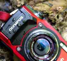 Най-добър фотоапарат за любители и професионалисти: преглед, рецензии