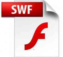 Най-добрият SWF редактор: преглед на софтуера