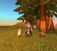 Поляна куче и други бойни домашни любимци World of Warcraft