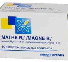 `Magne V6`: рецензии, указания за употреба и аналогии