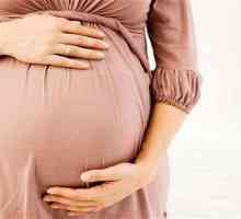 Магнезий за бременни жени: състав, характеристики на приложението и обратна връзка