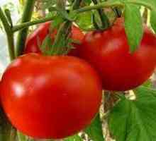 Махитос е домати, който си заслужава да се опита