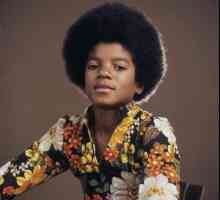 Майкъл Джексън в младостта си. Биография, личен живот, творчество