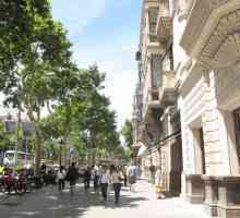 Майорка: туристически прегледи на забележителностите
