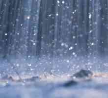 Максималното количество валежи спада в коя част на планетата?