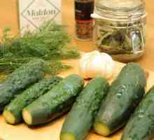 Леко осолена краставица: рецепта за незабавно готвене