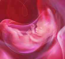 Шум в ушите по време на бременност: причини, симптоми, лечение, последствия