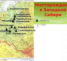 Mamontovskoye нефт и газ област: местоположение, история и характеристики