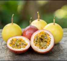 Плодови плодове: полезни свойства и противопоказания, снимка