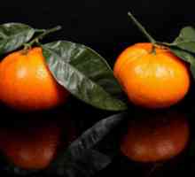 Марокански мандарини: описание, свойства, вкус