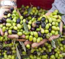 Черни маслини: добри и лоши за човешкото тяло