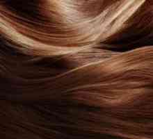 Постоянно наслаждаване на косата масло за оцветяване: описание и характеристики