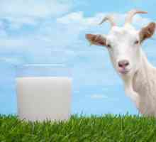 Масло от козе мляко: полза и вреда, готвене у дома