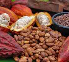 Какаово масло: приложение, свойства и състав