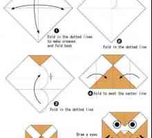 Майсторски клас: как да направите оригами бухал