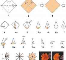 Майсторски клас, как да направите оригами на 8 март със собствените си ръце