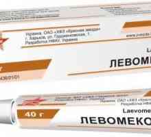 Маз "Levomekol": за какво се използва наркотикът?