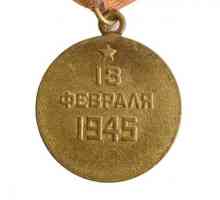 Медал "За улавяне на Будапеща": описание и история