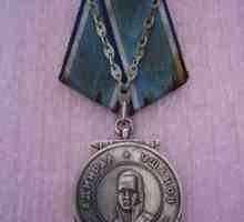 Медалите на Ушаков. Защото това, което бе удостоен с медал "Ушаков"