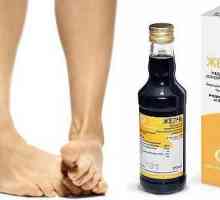 Медицинска жлъчка с артроза на колянната става: прегледи